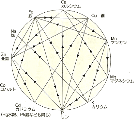 検査結果