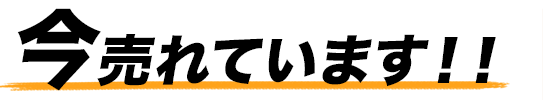 今売れています！！