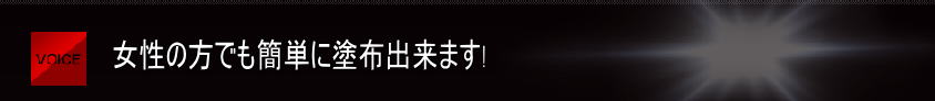 メッキング